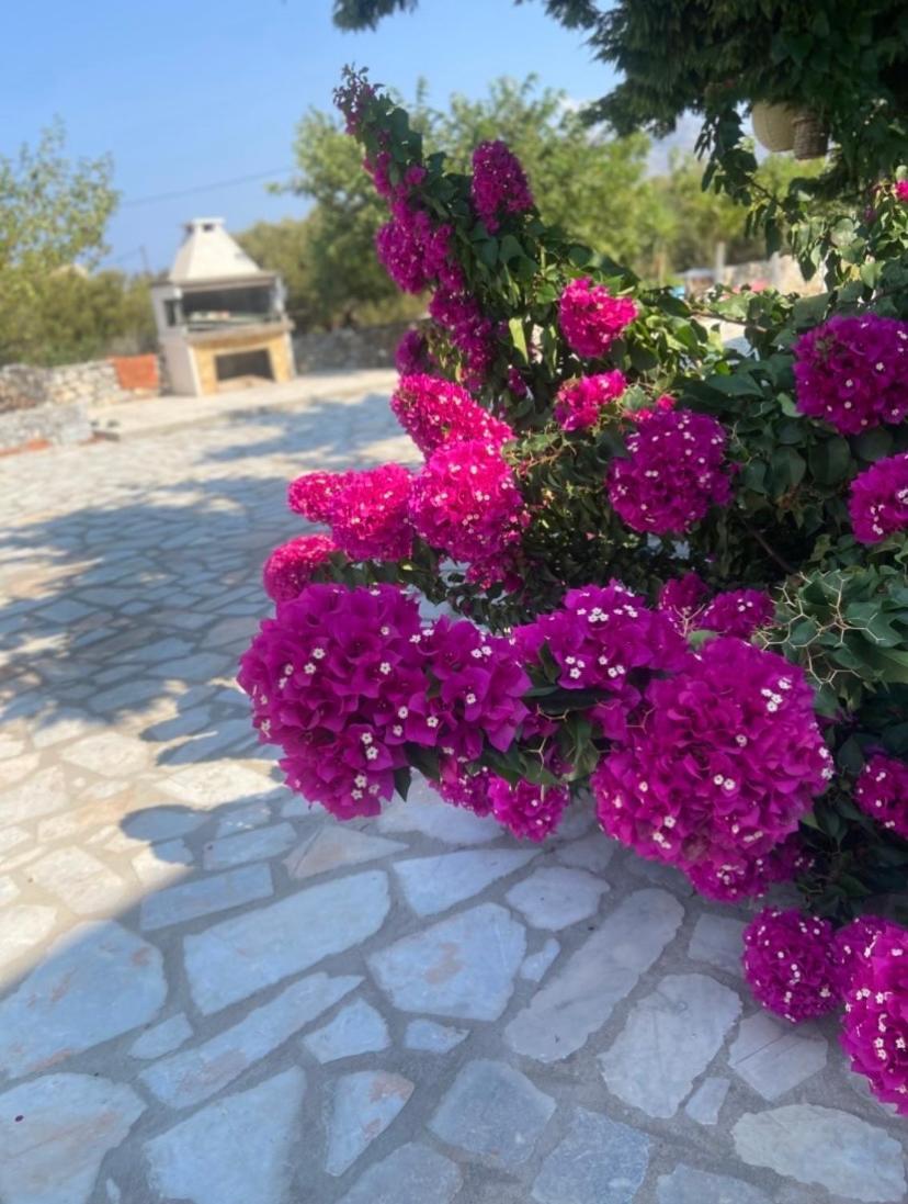 Apartmán Yulie'S Orama Areopoli Exteriér fotografie